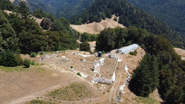 4800 Hansen Ranch Road, Piercy, CA 95587