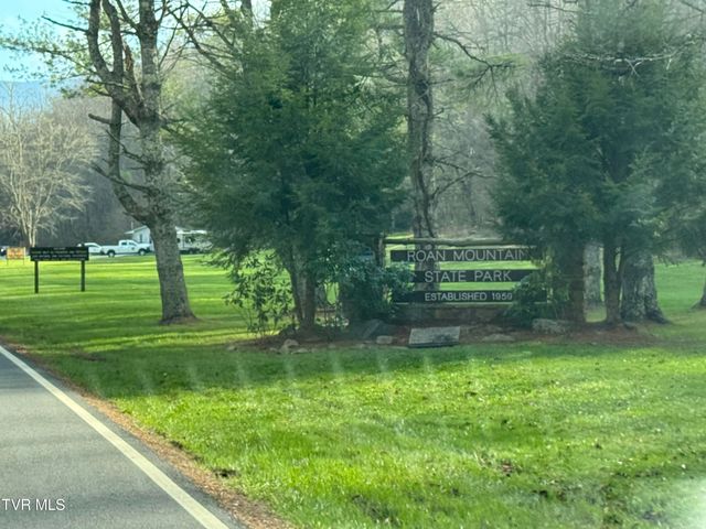 419 Cove Creek Road, Roan Mountain, TN 37687