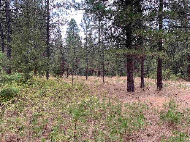 160xx N Austin Rd, Spokane, WA 99208