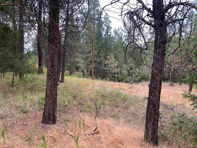 160xx N Austin Rd, Spokane, WA 99208