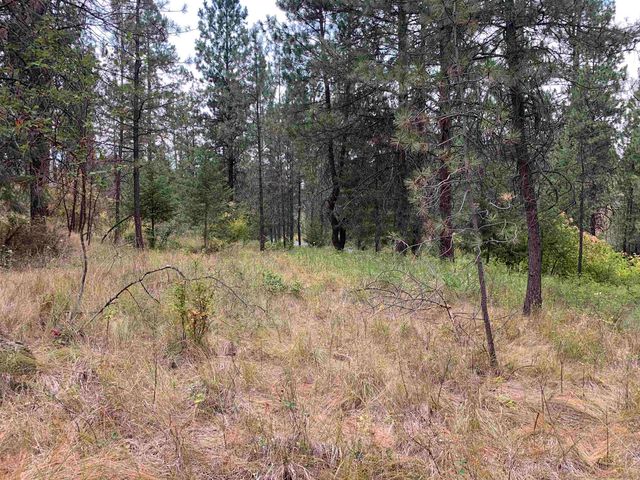 160xx N Austin Rd, Spokane, WA 99208