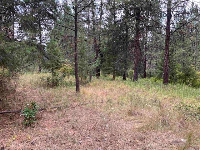 160xx N Austin Rd, Spokane, WA 99208