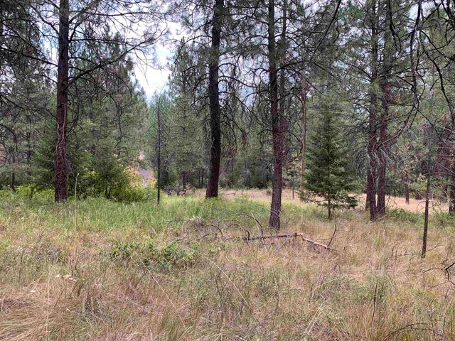 160xx N Austin Rd, Spokane, WA 99208