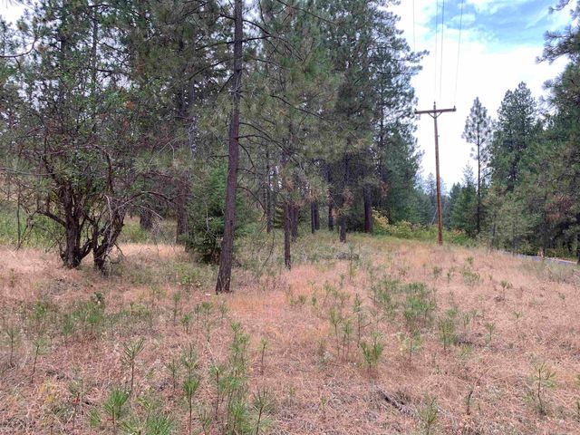 160xx N Austin Rd, Spokane, WA 99208