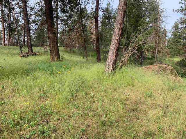 160xx N Austin Rd, Spokane, WA 99208