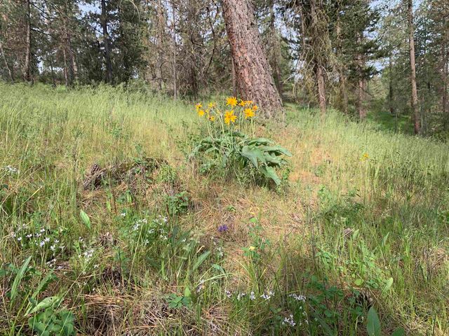 160xx N Austin Rd, Spokane, WA 99208