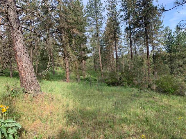 160xx N Austin Rd, Spokane, WA 99208