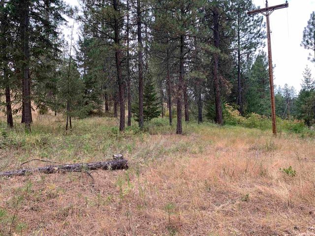 160xx N Austin Rd, Spokane, WA 99208