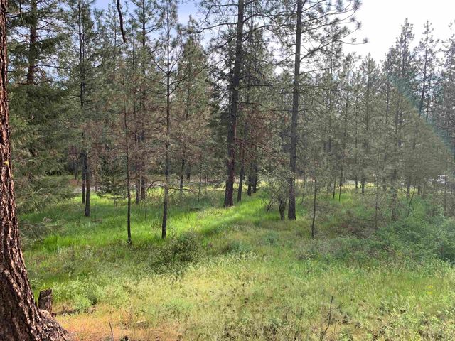 160xx N Austin Rd, Spokane, WA 99208