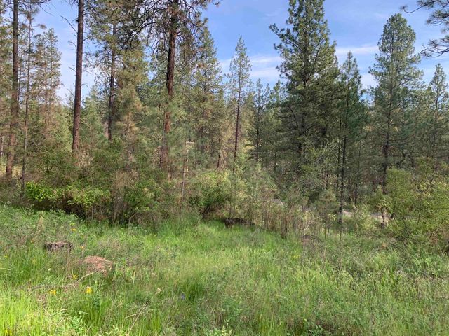 160xx N Austin Rd, Spokane, WA 99208