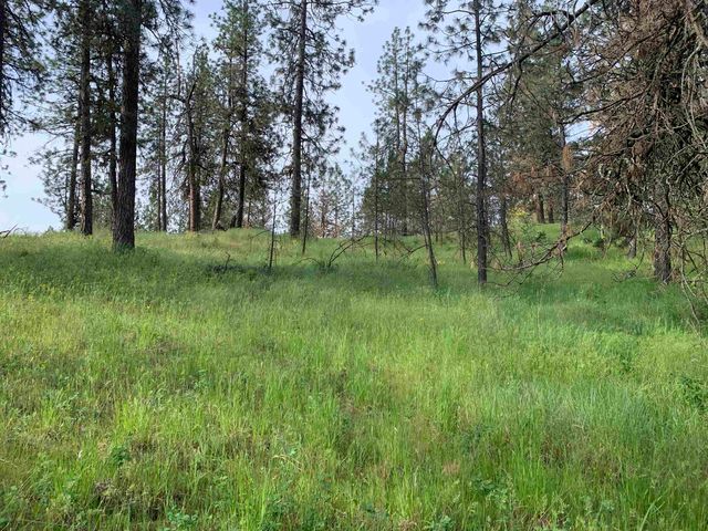 160xx N Austin Rd, Spokane, WA 99208