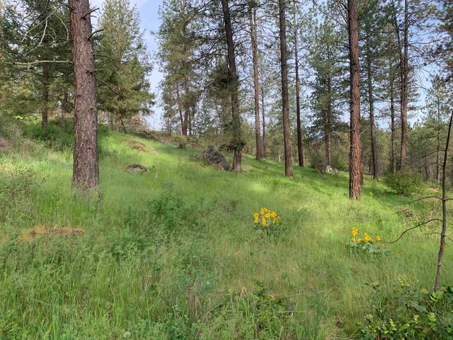 160xx N Austin Rd, Spokane, WA 99208