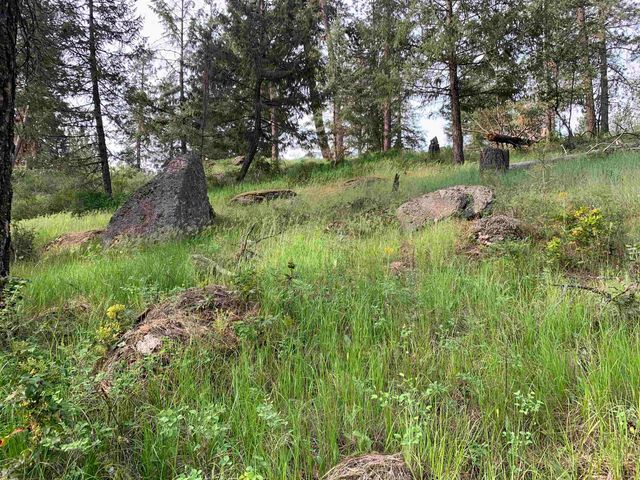 160xx N Austin Rd, Spokane, WA 99208