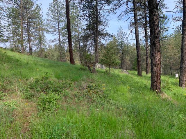 160xx N Austin Rd, Spokane, WA 99208
