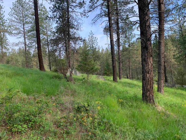160xx N Austin Rd, Spokane, WA 99208