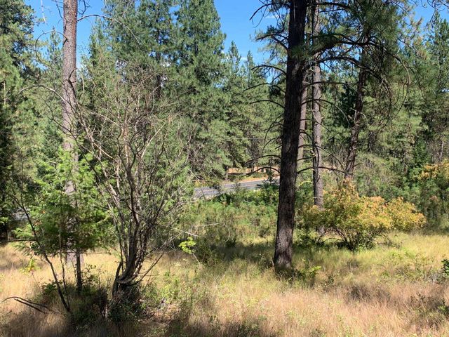 160xx N Austin Rd, Spokane, WA 99208