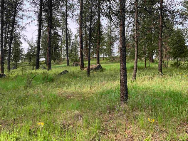 160xx N Austin Rd, Spokane, WA 99208