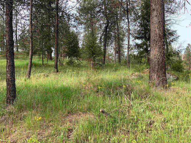 160xx N Austin Rd, Spokane, WA 99208