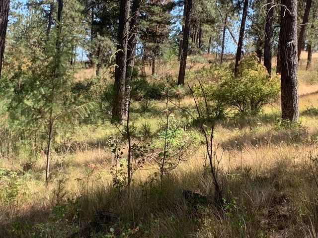 160xx N Austin Rd, Spokane, WA 99208