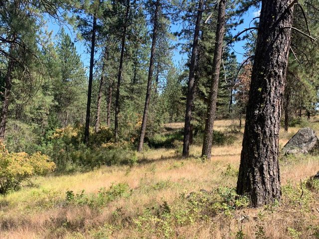 160xx N Austin Rd, Spokane, WA 99208