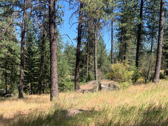 160xx N Austin Rd, Spokane, WA 99208