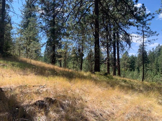 160xx N Austin Rd, Spokane, WA 99208