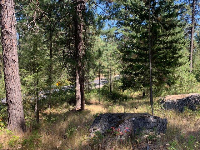 160xx N Austin Rd, Spokane, WA 99208