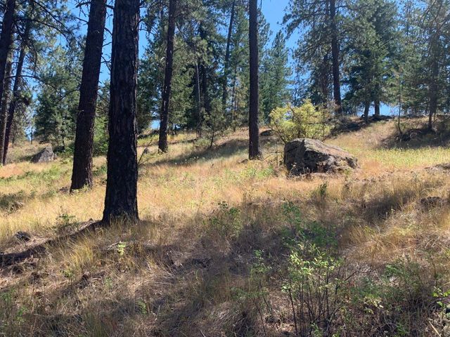 160xx N Austin Rd, Spokane, WA 99208