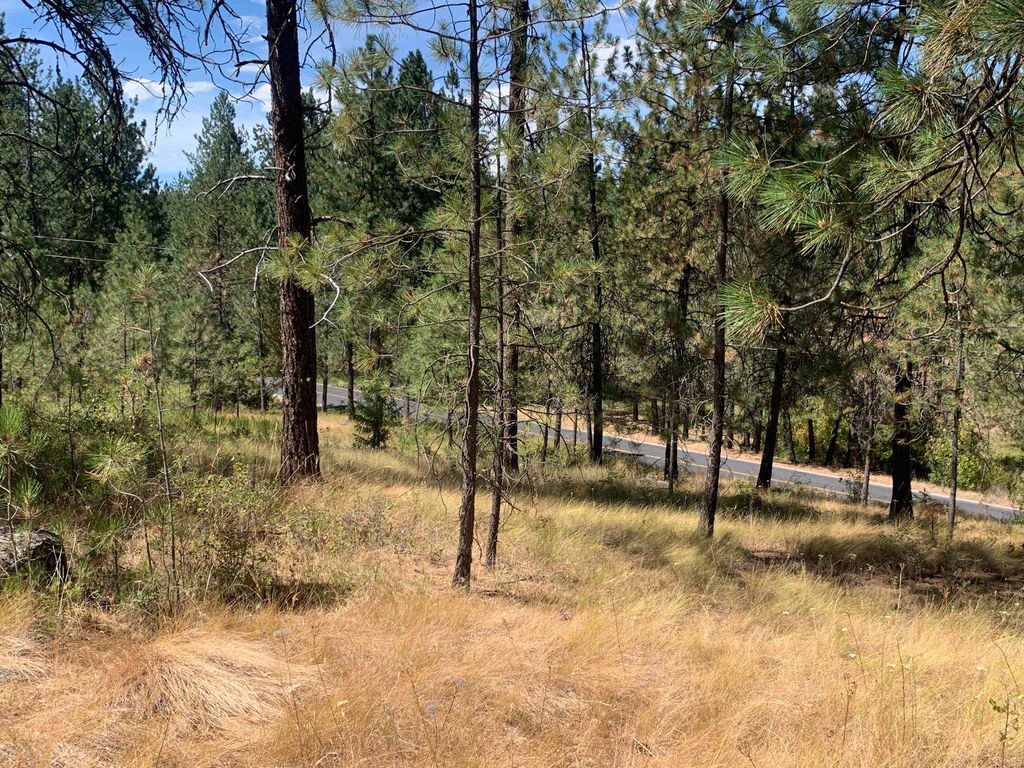 160xx N Austin Rd, Spokane, WA 99208