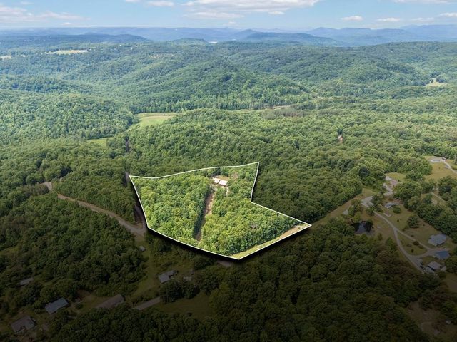 290 Vine Ridge Rd, NE, Crawford, TN 38554