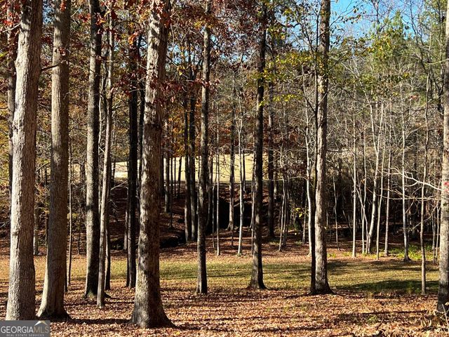 6218 ZELL MILLER Path NW, Acworth, GA 30101