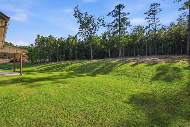 19105 Waterview Meadows Lane, Roland, AR 72135