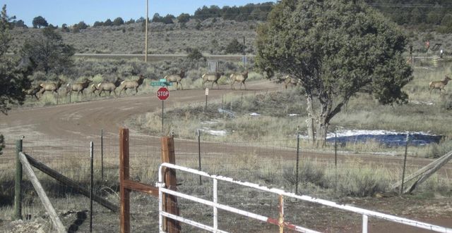 36 Albers Valley Road, Regina, NM 87046