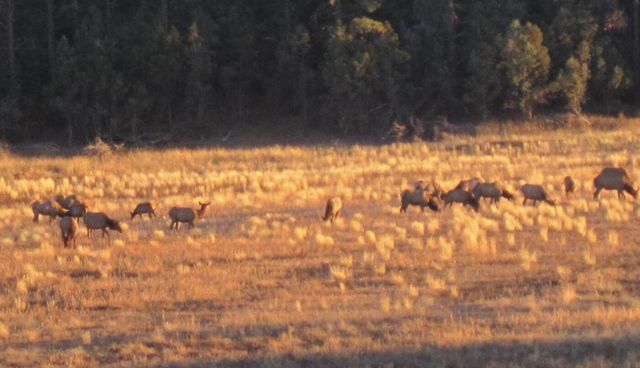 36 Albers Valley Road, Regina, NM 87046