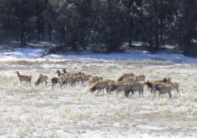 36 Albers Valley Road, Regina, NM 87046