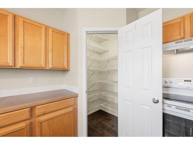 9877 Buffalo St, Firestone, CO 80504