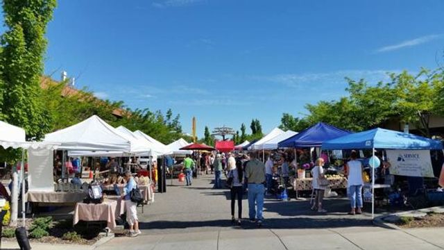 6602 E E Avenue, Richland Twp, MI 49083