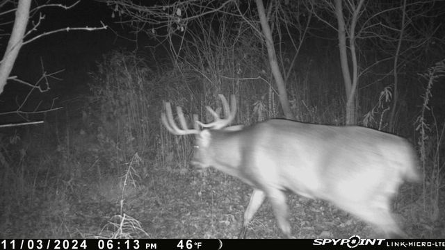 w7939 Territorial Road, Delavan, WI 53115