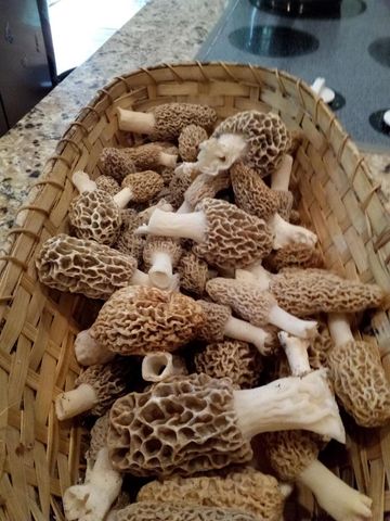 w7939 Territorial Road, Delavan, WI 53115