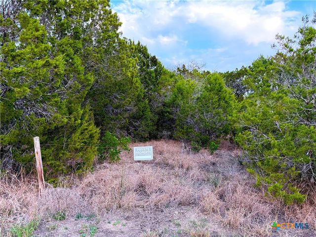 TBD Fm 484, Canyon Lake, TX 78133