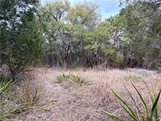 TBD Fm 484, Canyon Lake, TX 78133