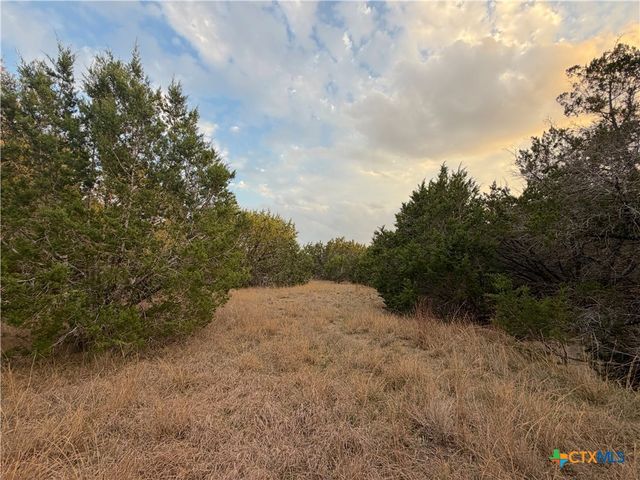 TBD Fm 484, Canyon Lake, TX 78133