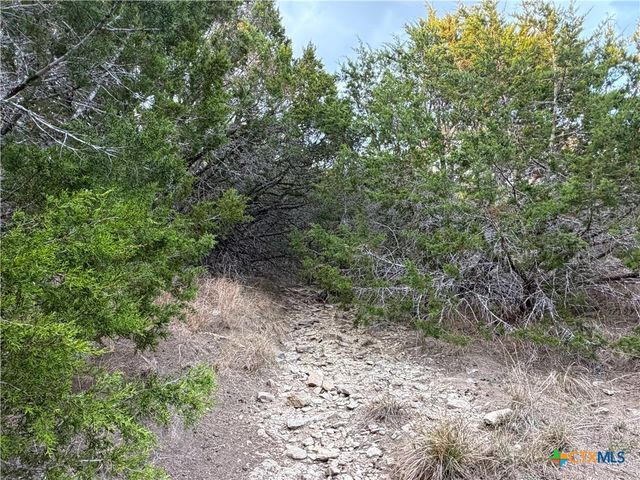 TBD Fm 484, Canyon Lake, TX 78133