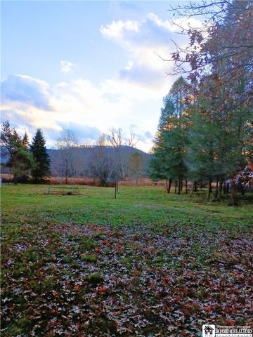 227 Portville Ceres Road, Portville, NY 14770