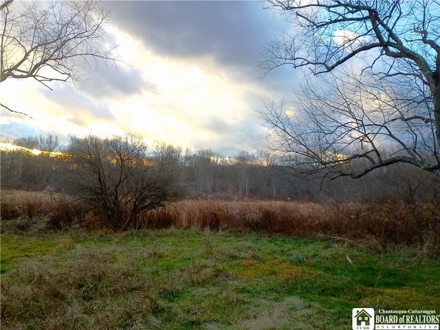 227 Portville Ceres Road, Portville, NY 14770