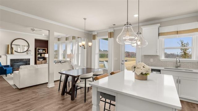 1787 Goodwin Drive, Hampton, GA 30228