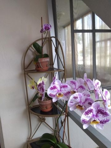 200 Stratford O, West Palm Beach, FL 33417