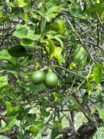 219 Cypress WAY W, Naples, FL 34110