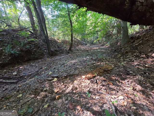0 Oak Road, Jenkinsburg, GA 30234