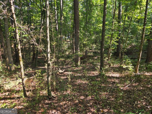 0 Oak Road, Jenkinsburg, GA 30234